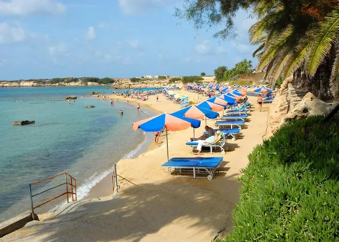 Olympian Sun By Willa